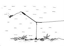 Featured Property